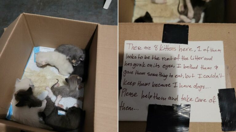 note on box