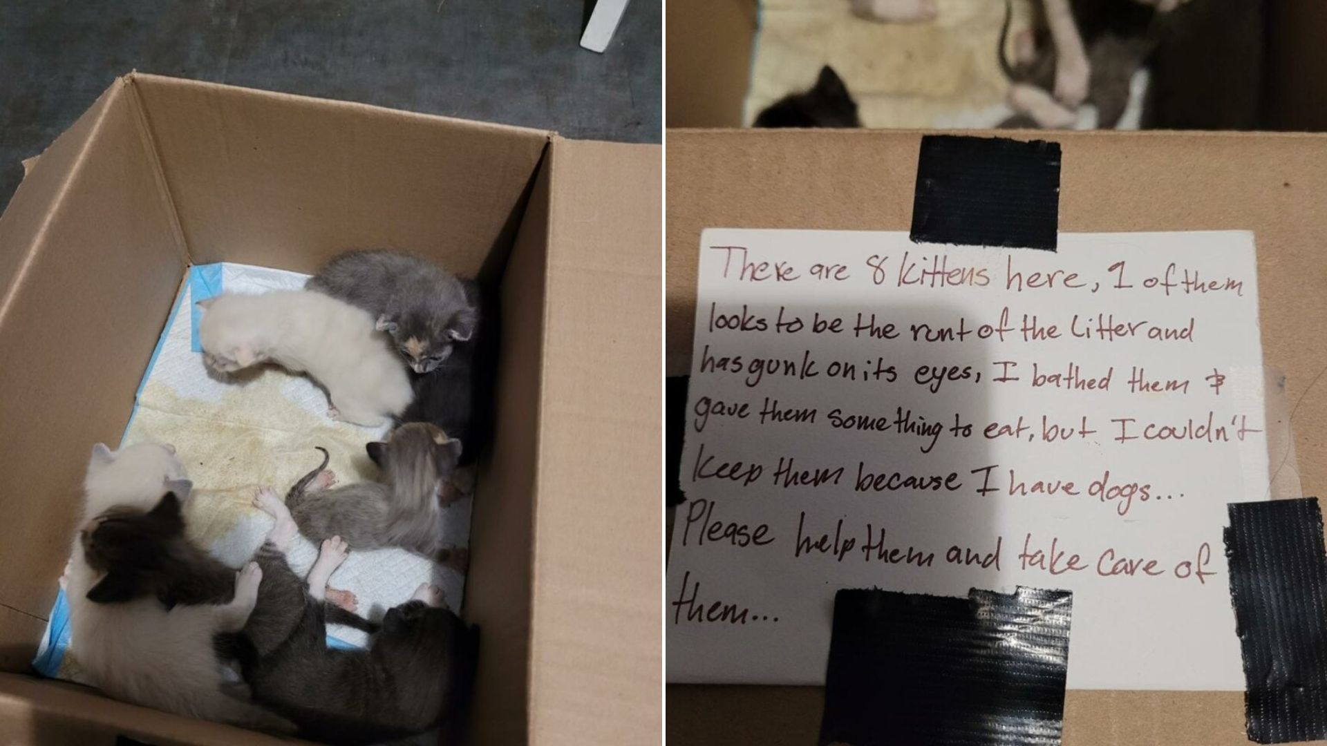note on box