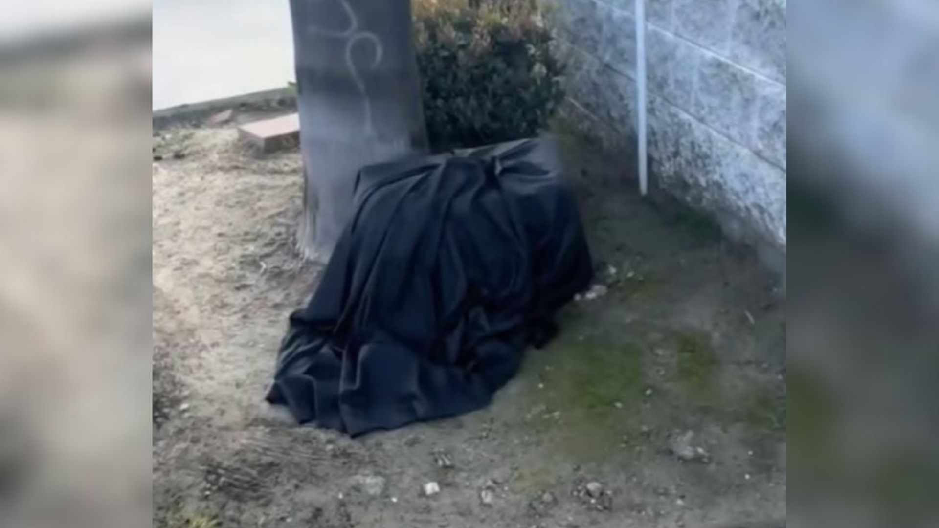 black blanket