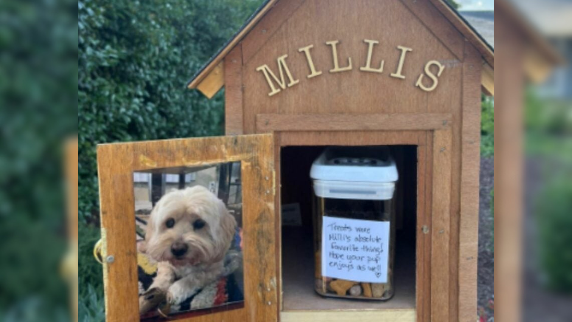 small house with dog treats