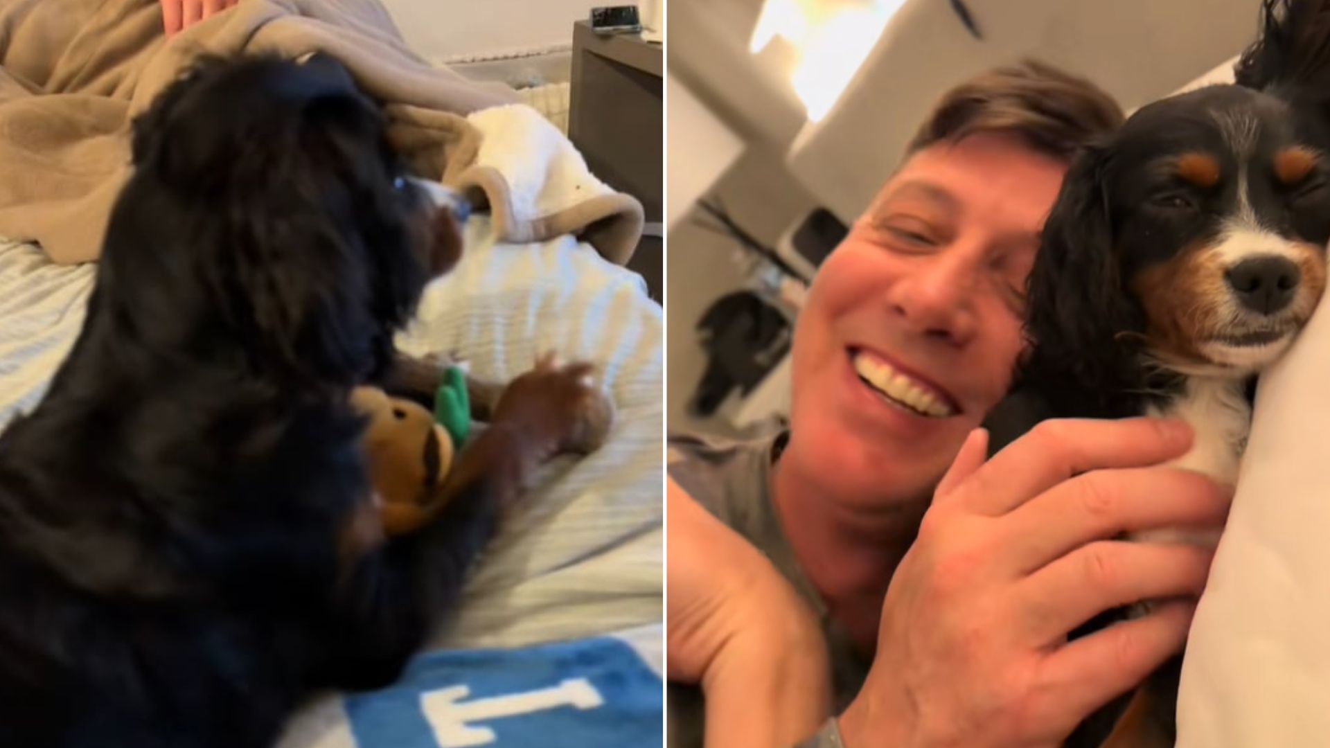dog and owner laying in bed