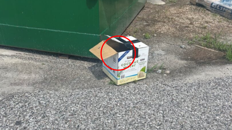 abandoned box