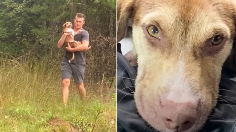 man holding a dog