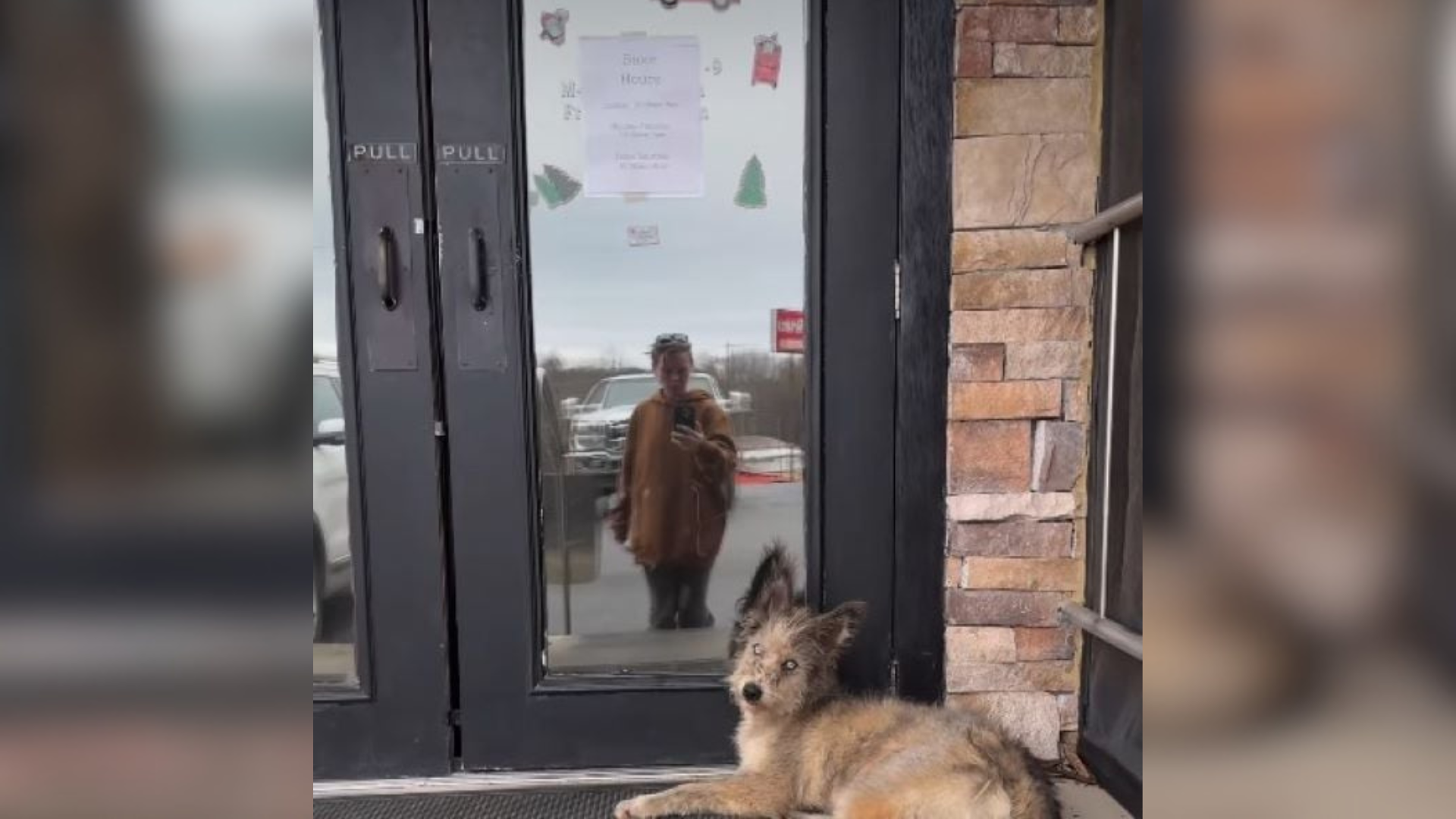 dog lying outside door