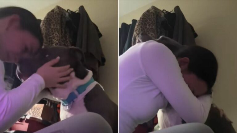 woman hugging a dog