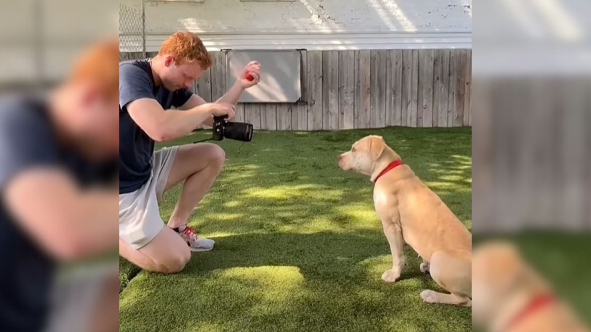 man photographing a dog