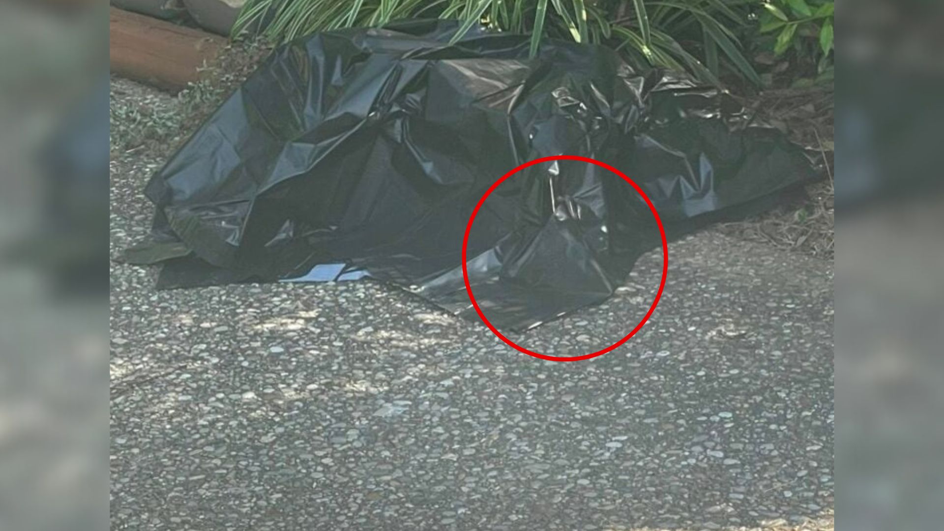 plastic tarp