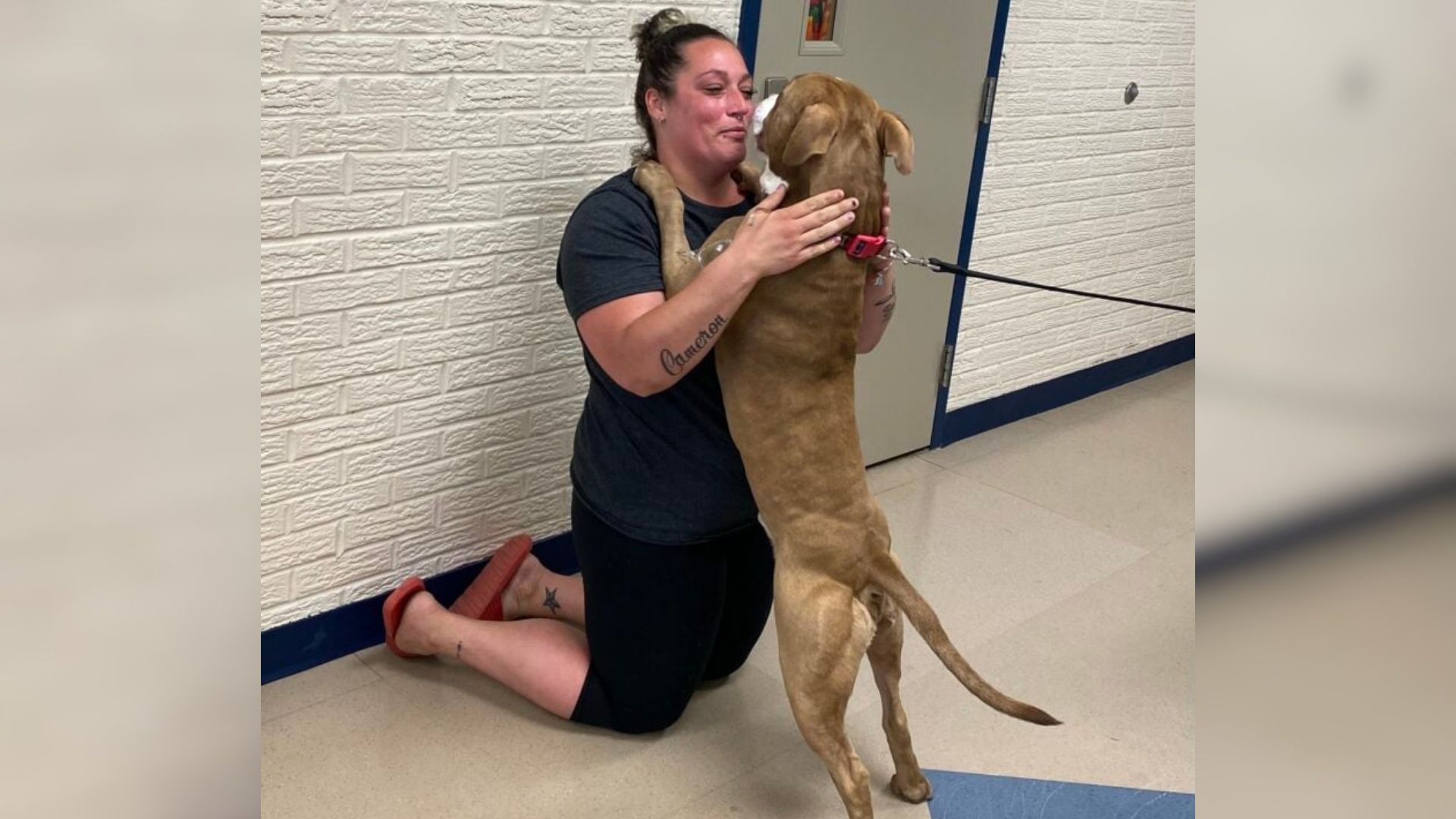 woman hugging dog