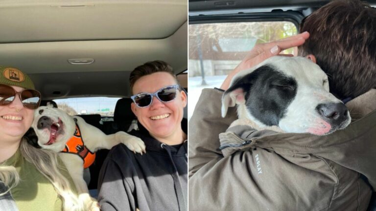 couple and in car