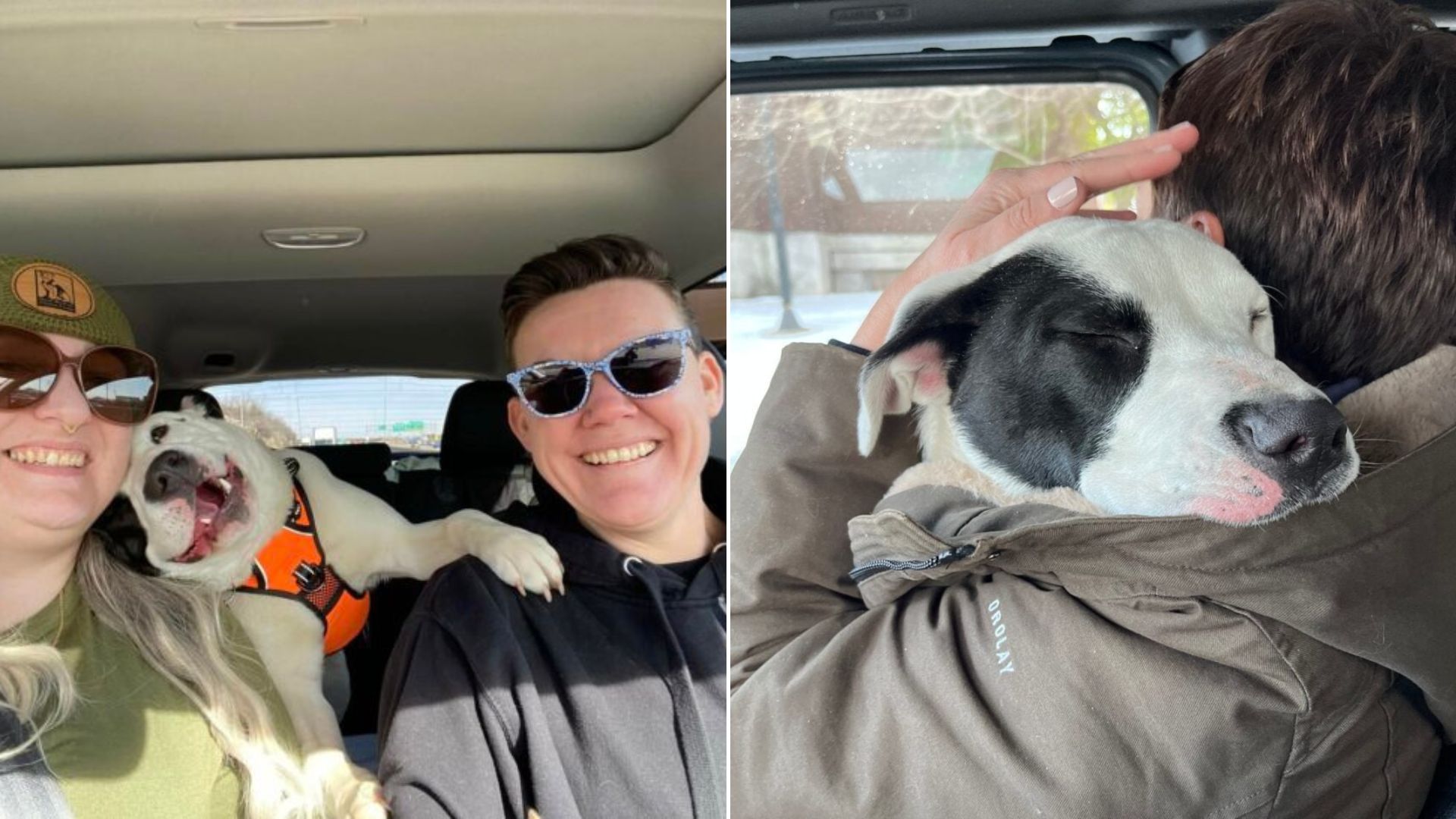 couple and in car