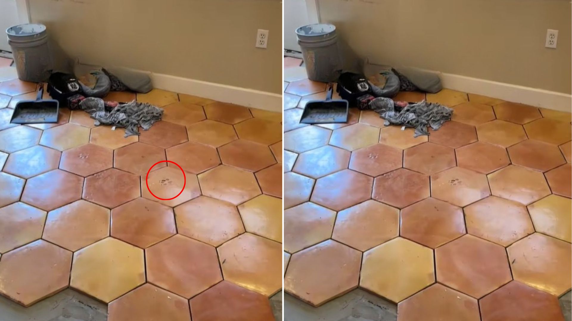 paws in tiles