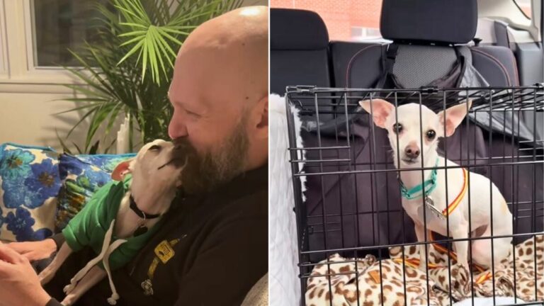 bald man and dog