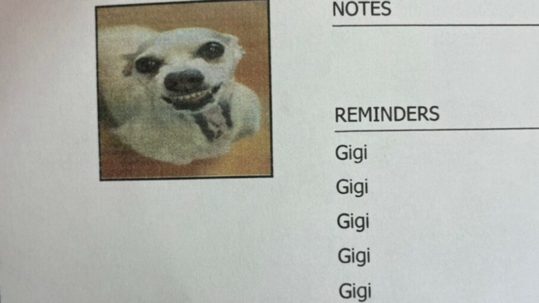 gigi's record