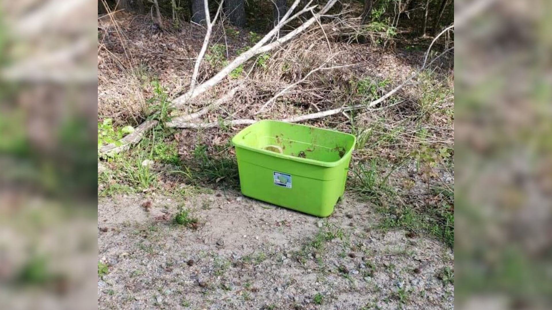 green plastic box
