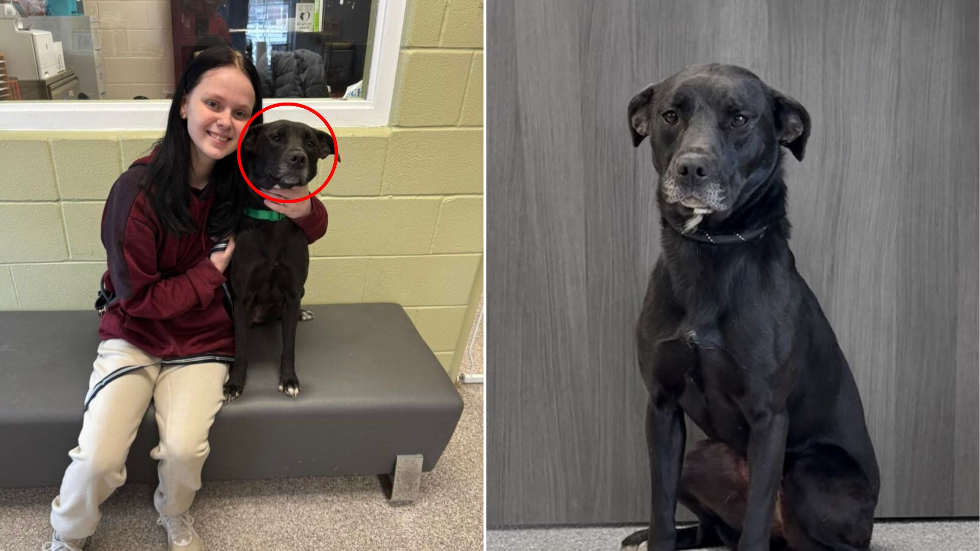 teenager and black dog