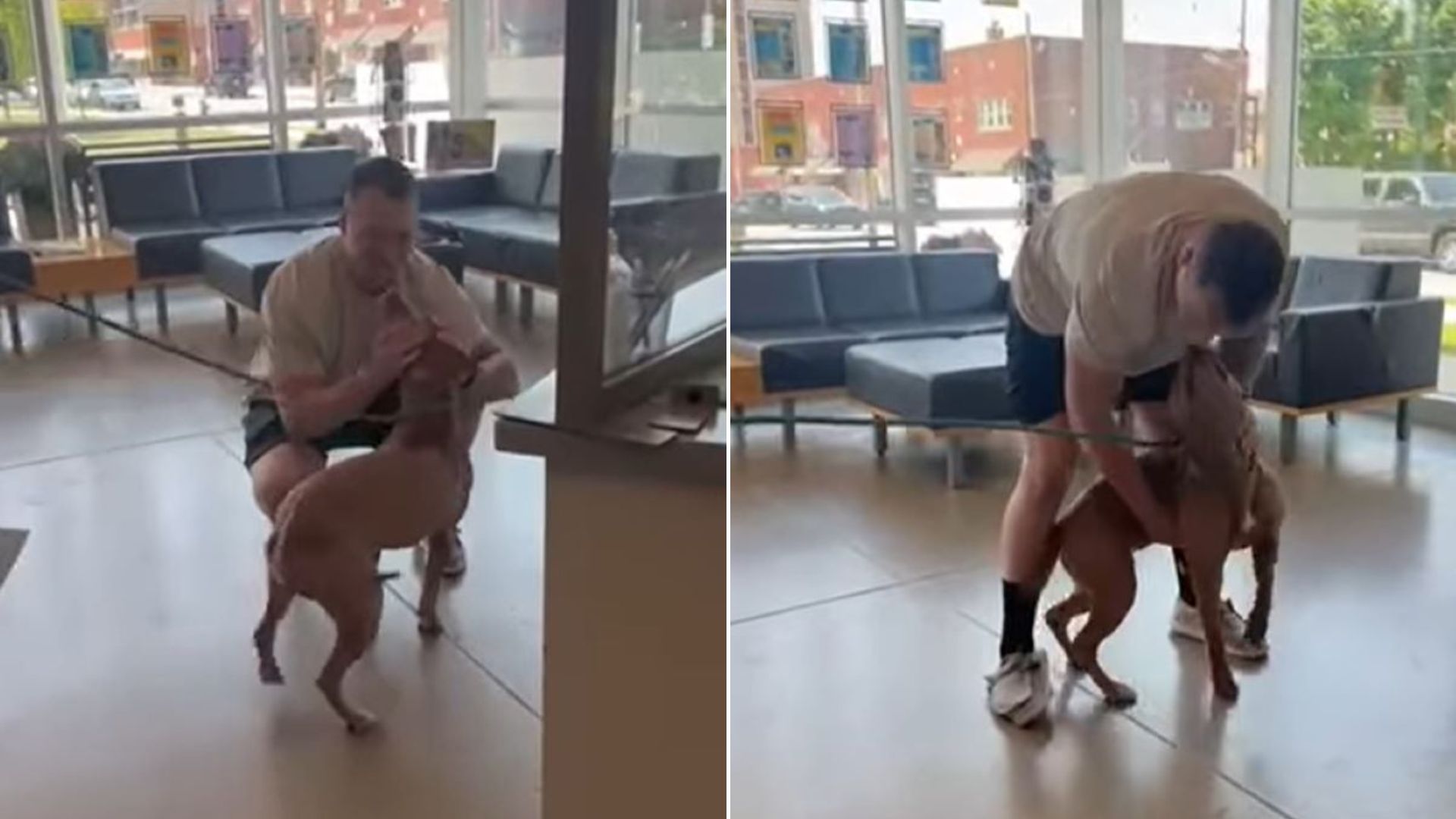man and sweet dog
