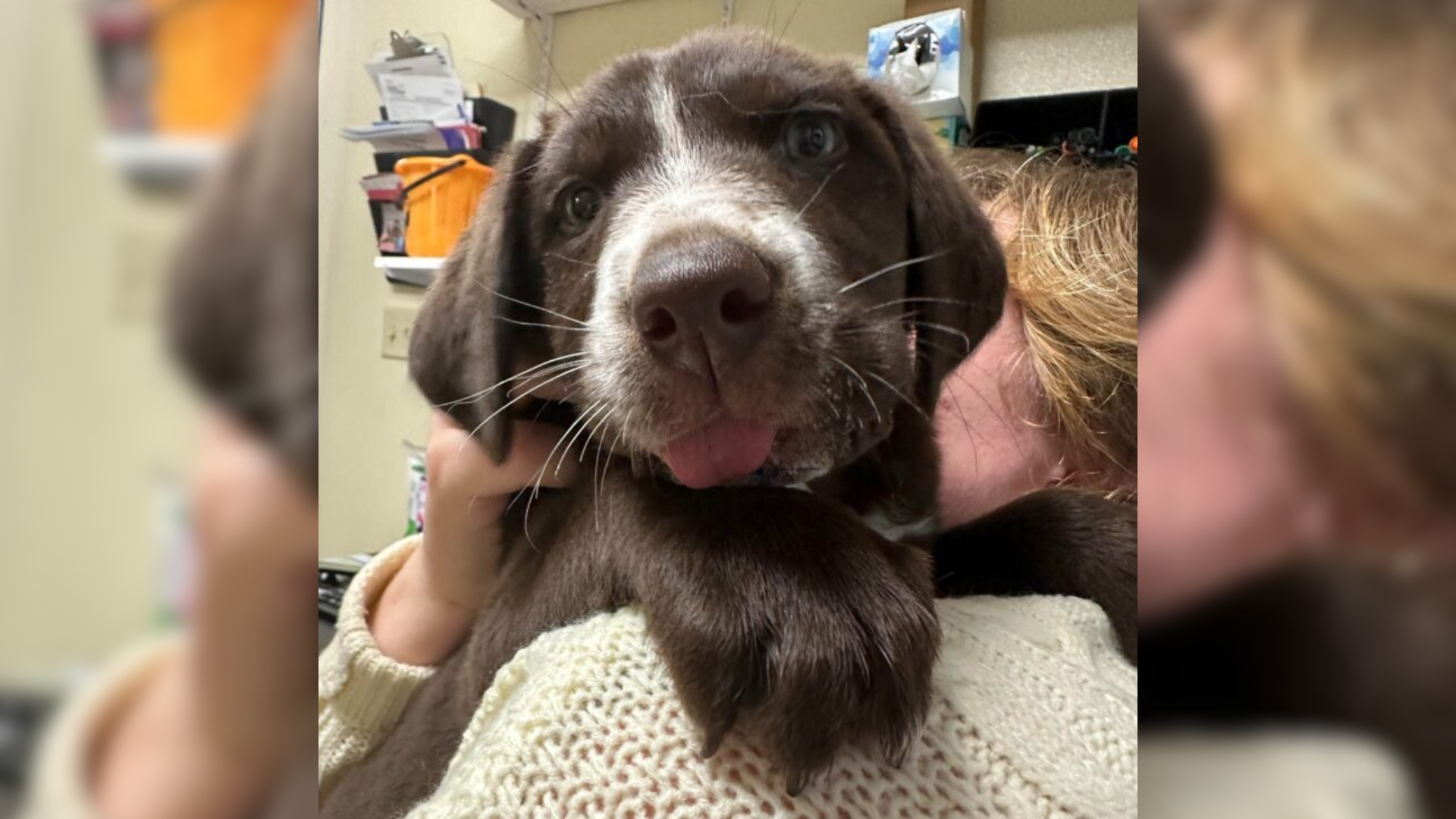 woman holding dog
