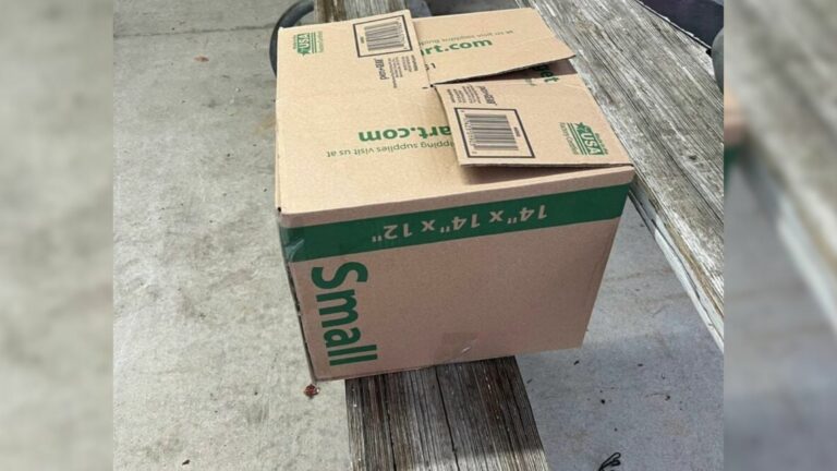 cardboard box