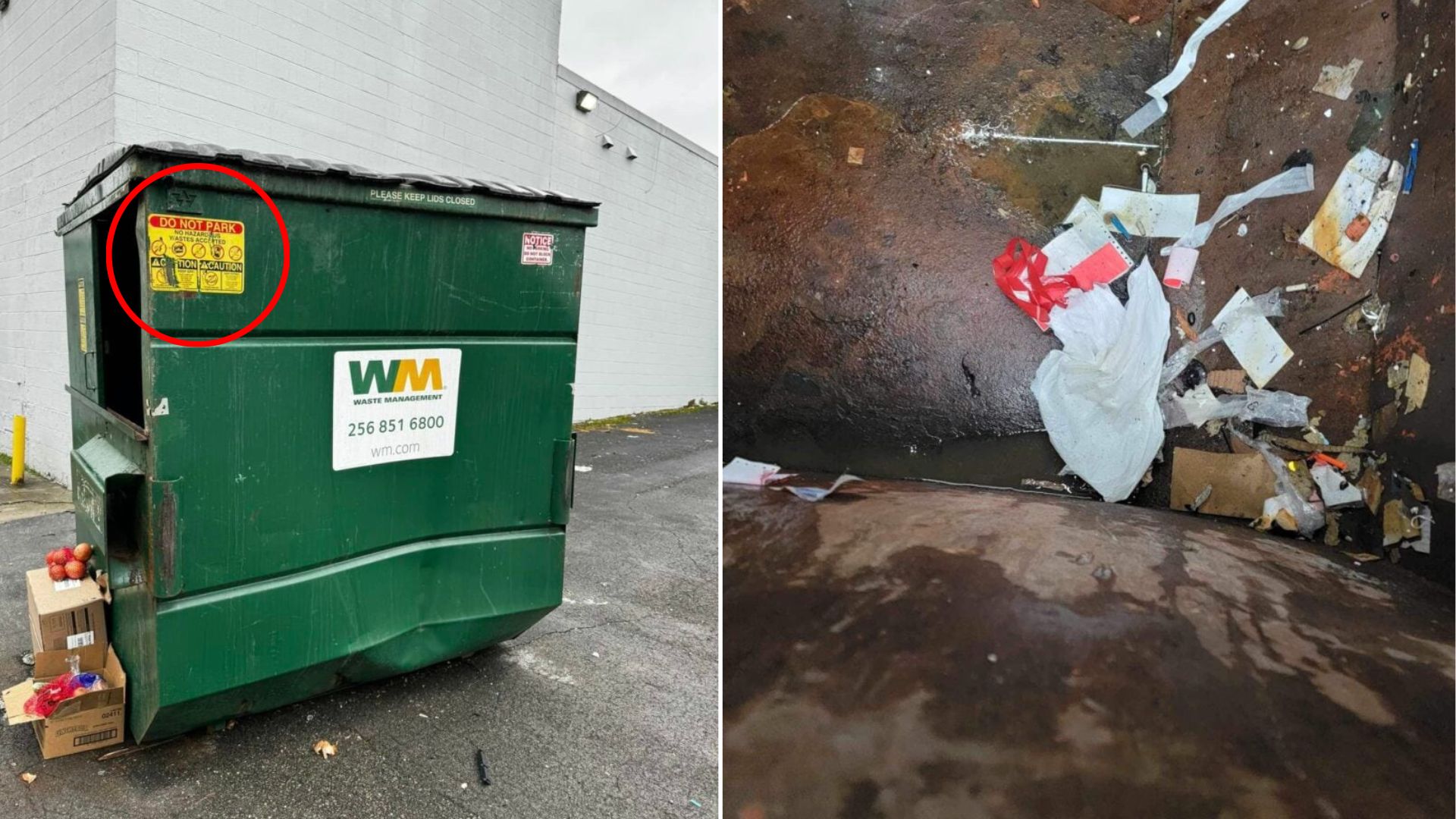 dog trapped in container