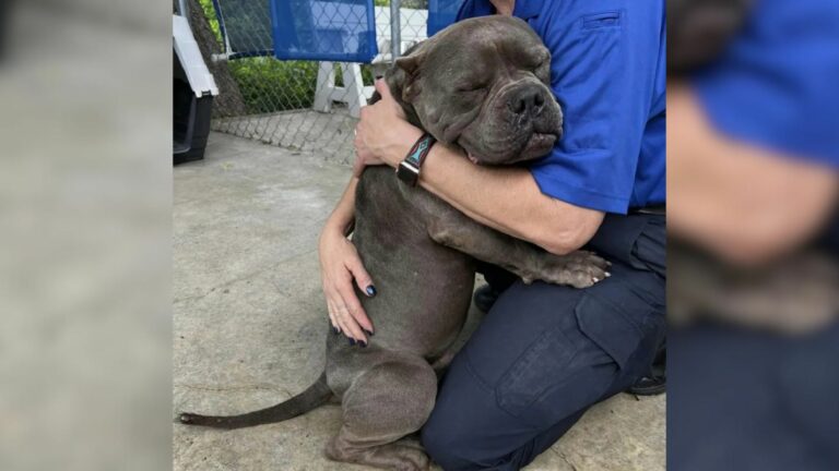 dog hugging a man