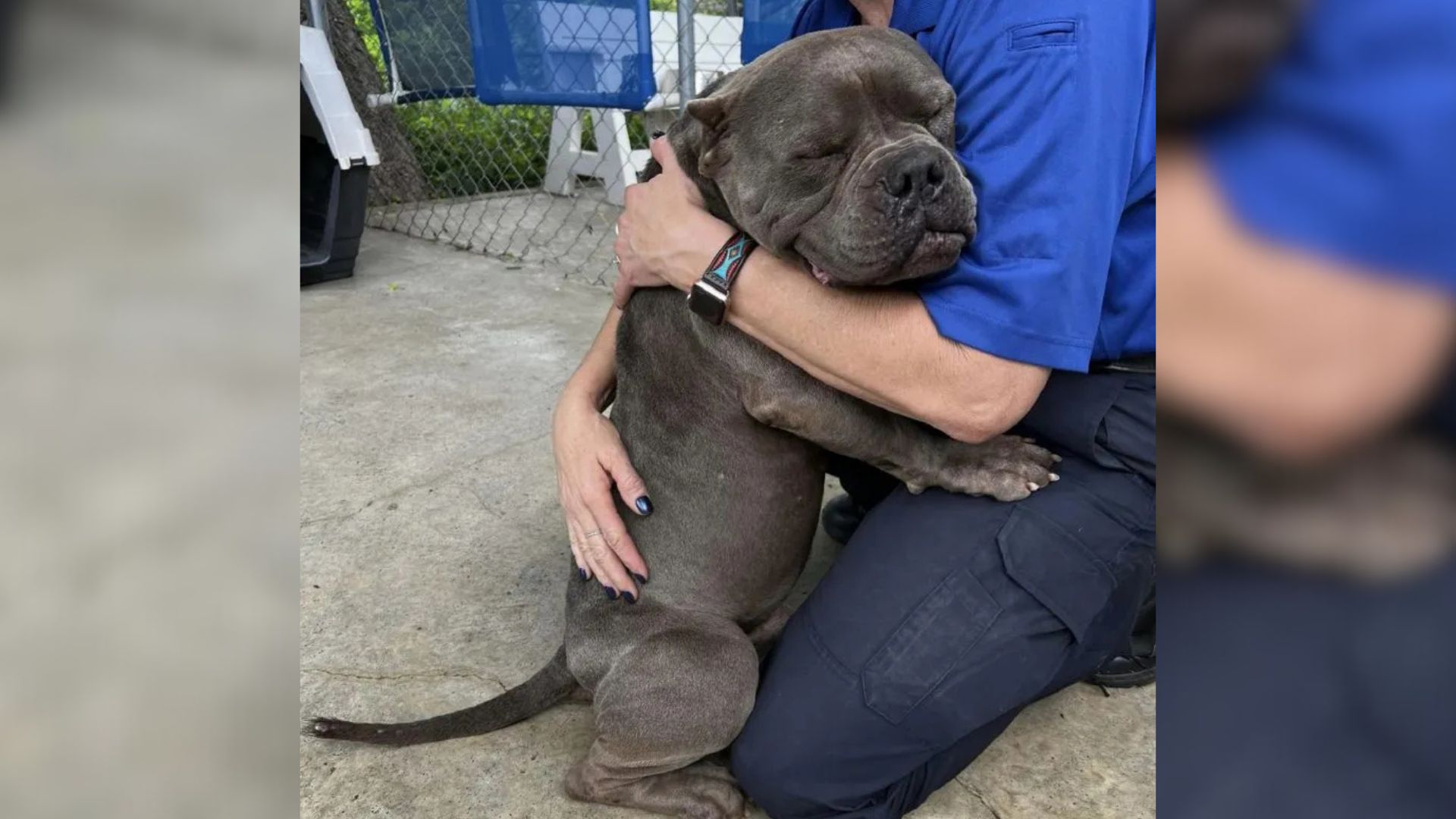 dog hugging a man