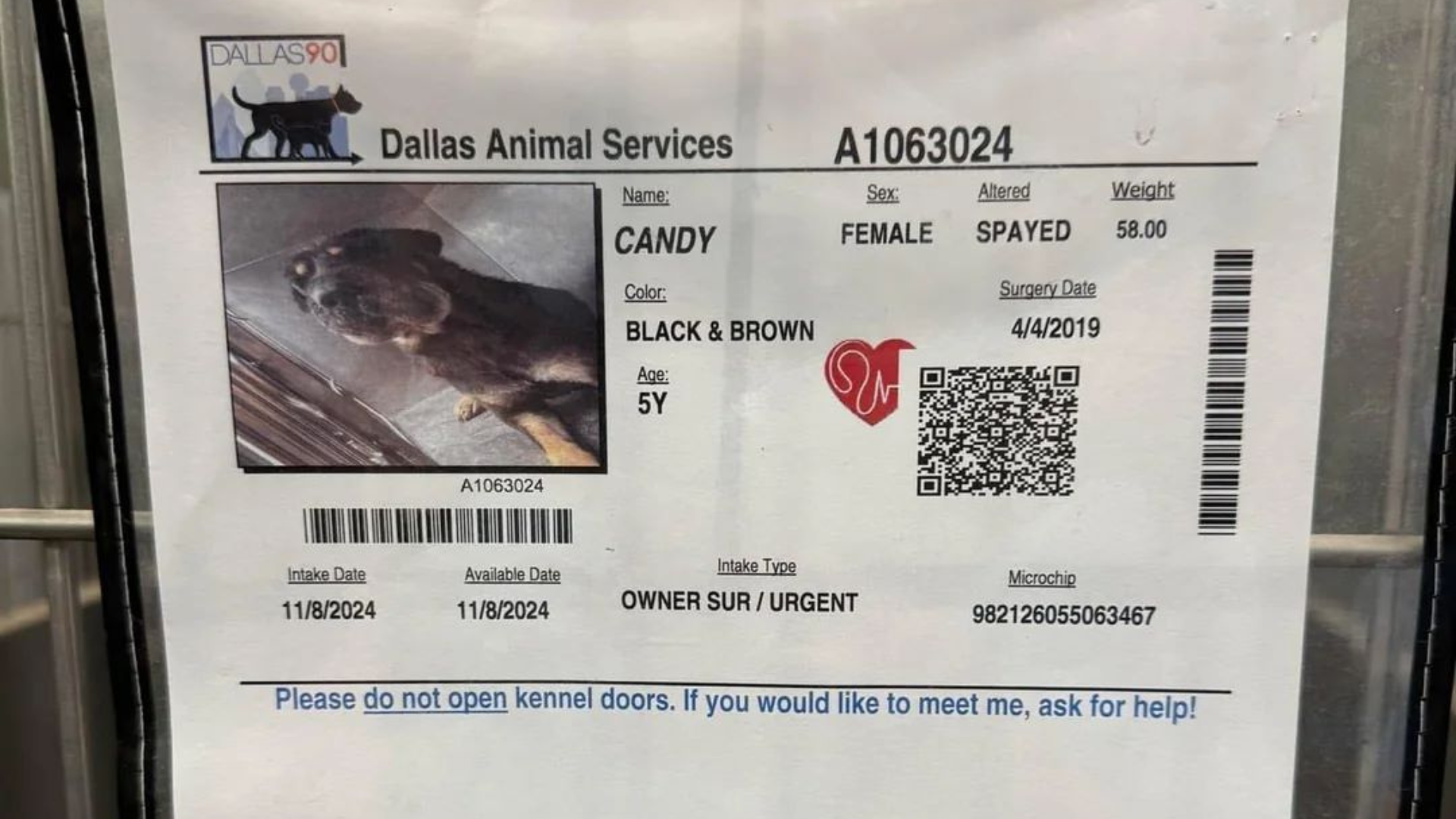 dog shelter sheet