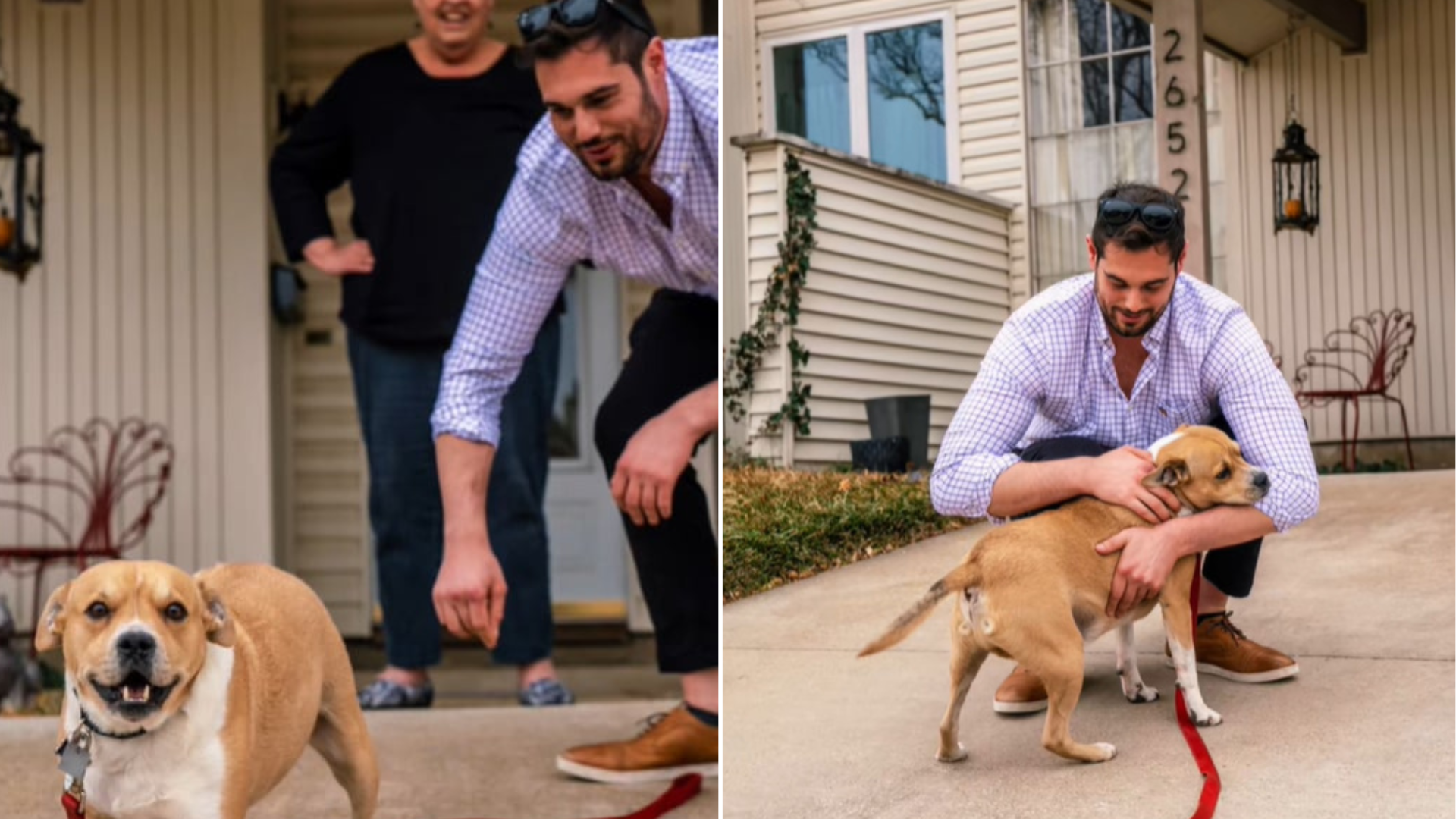 man and dog reunion