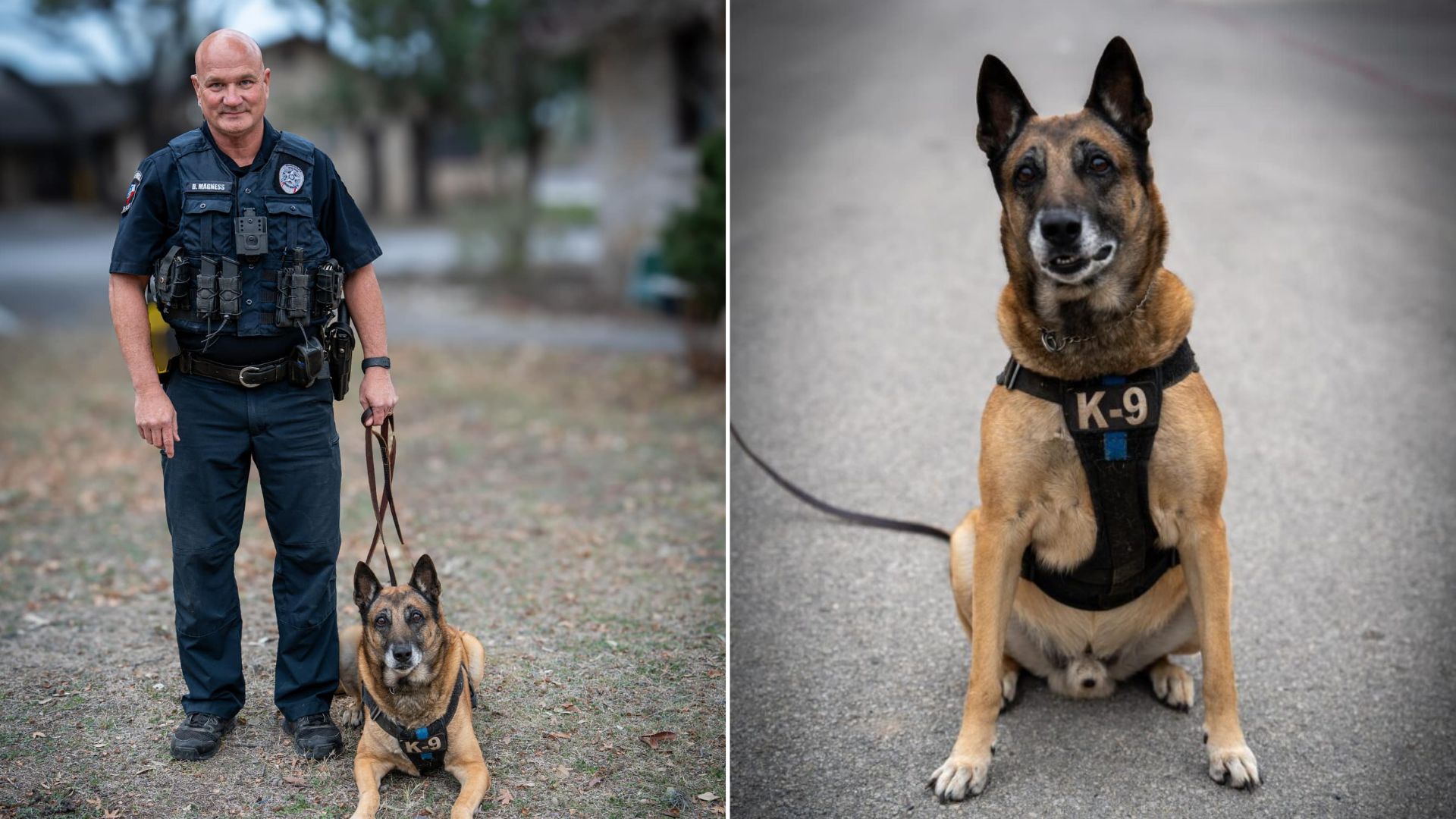 officer and K9