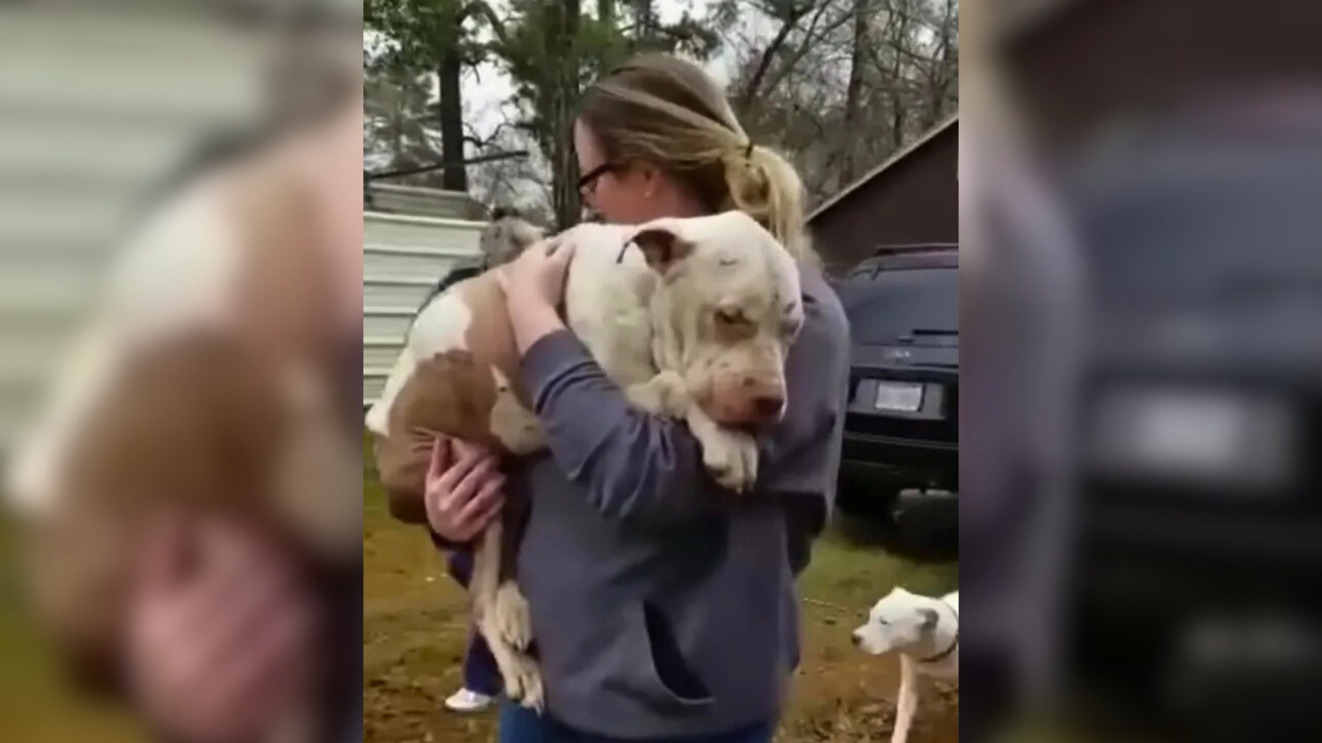 woman holding dog