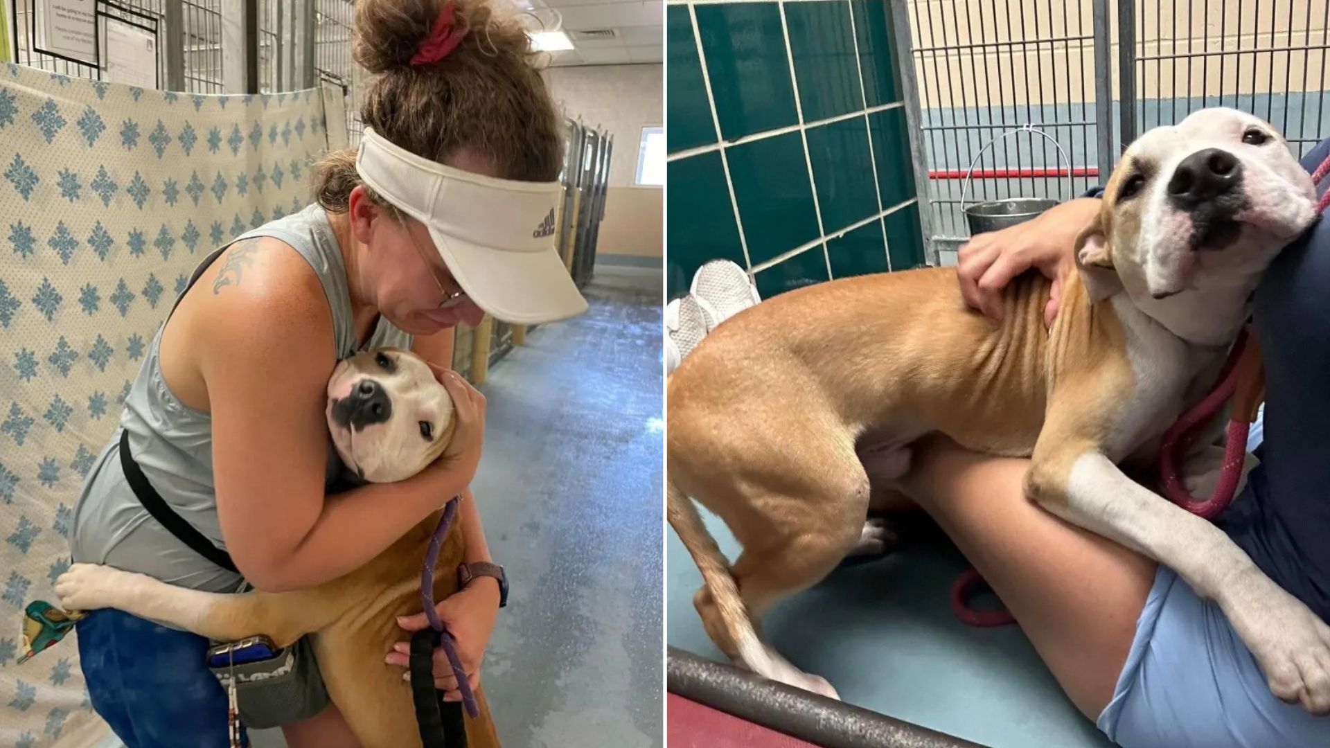 woman hugging a dog