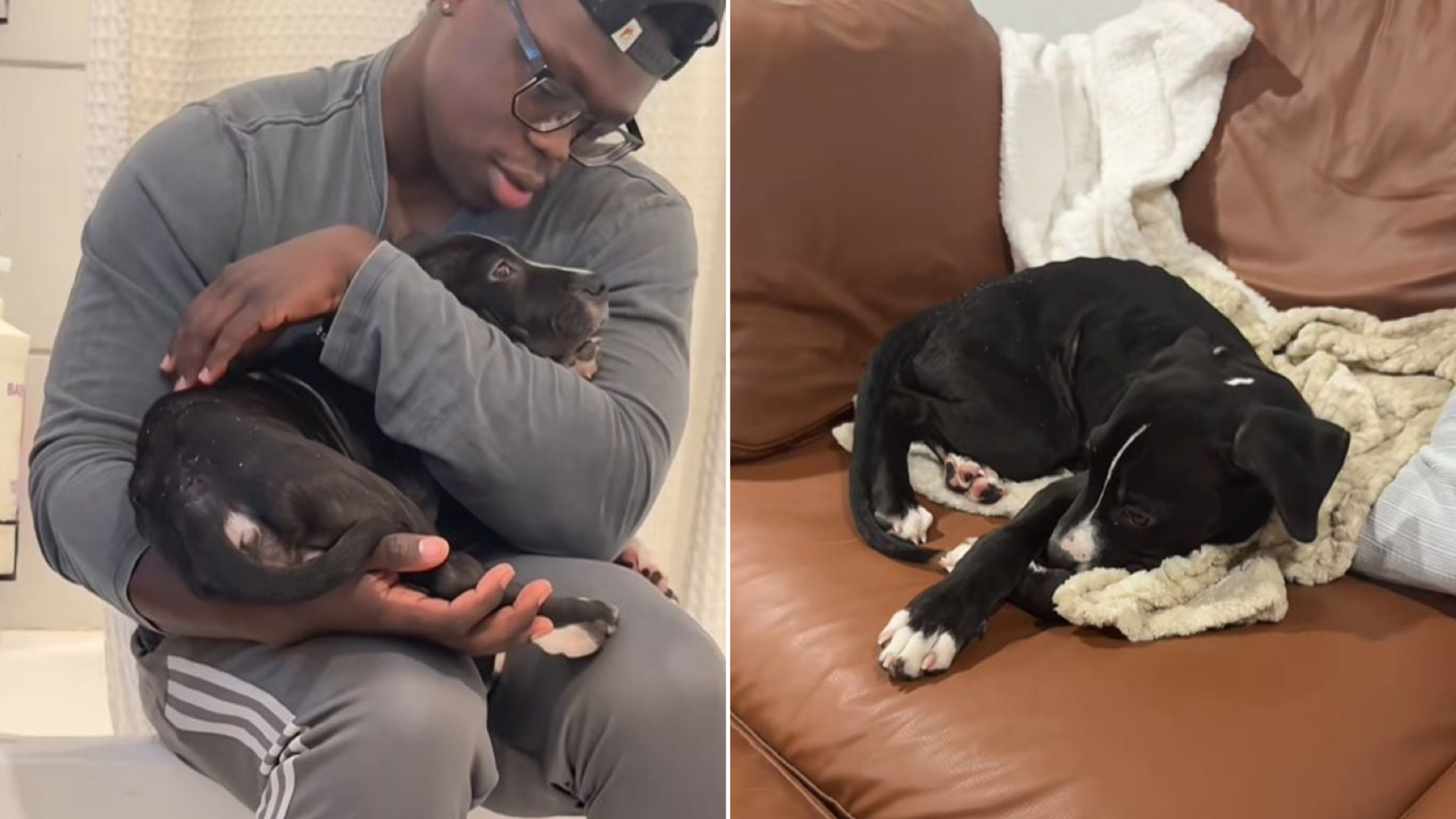 man holding dog