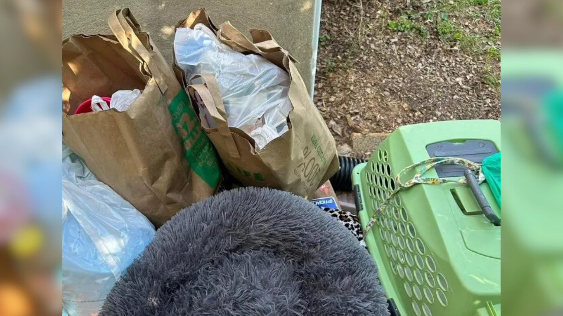 dog crate in trash