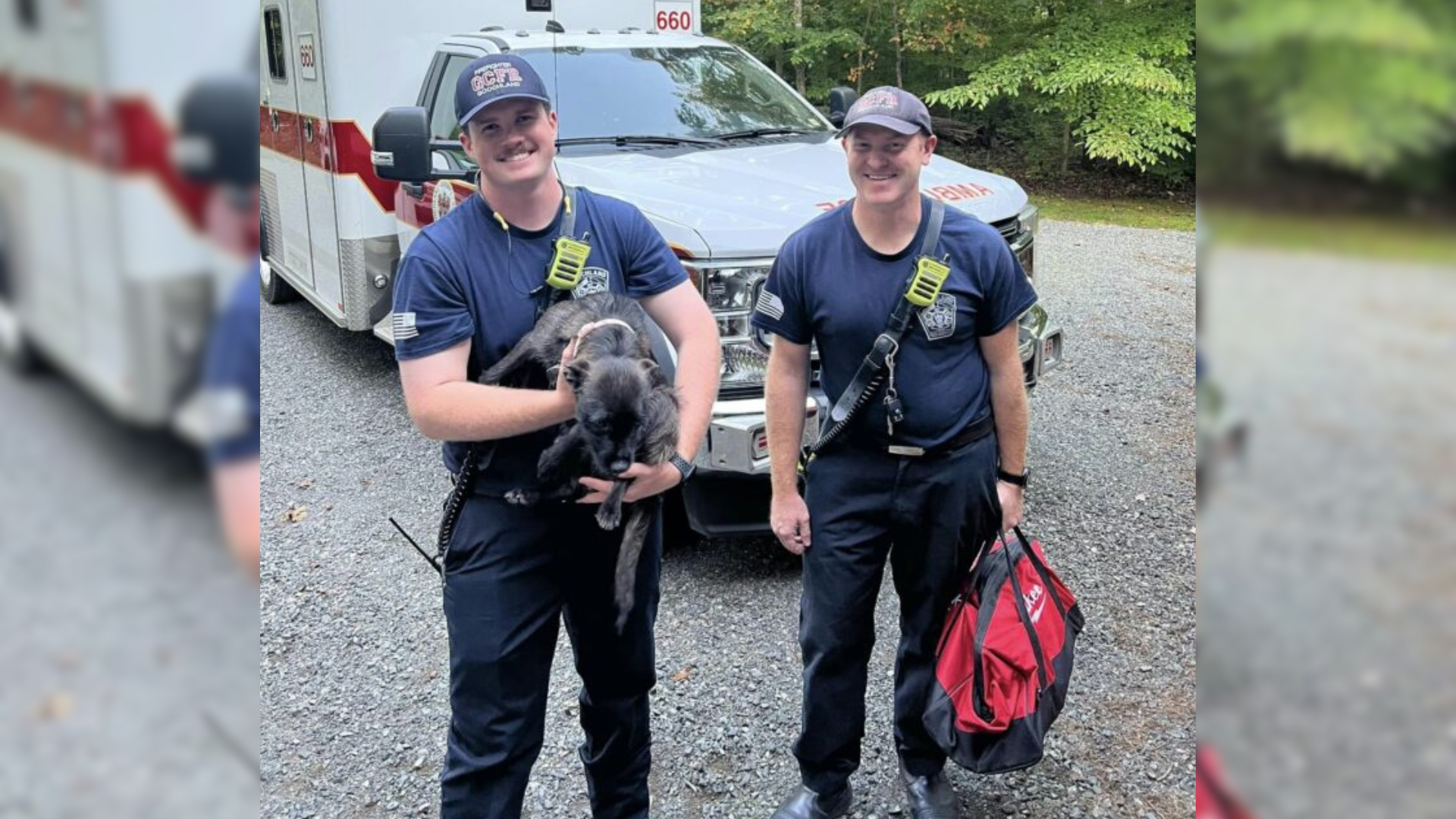 firefighters holding dog