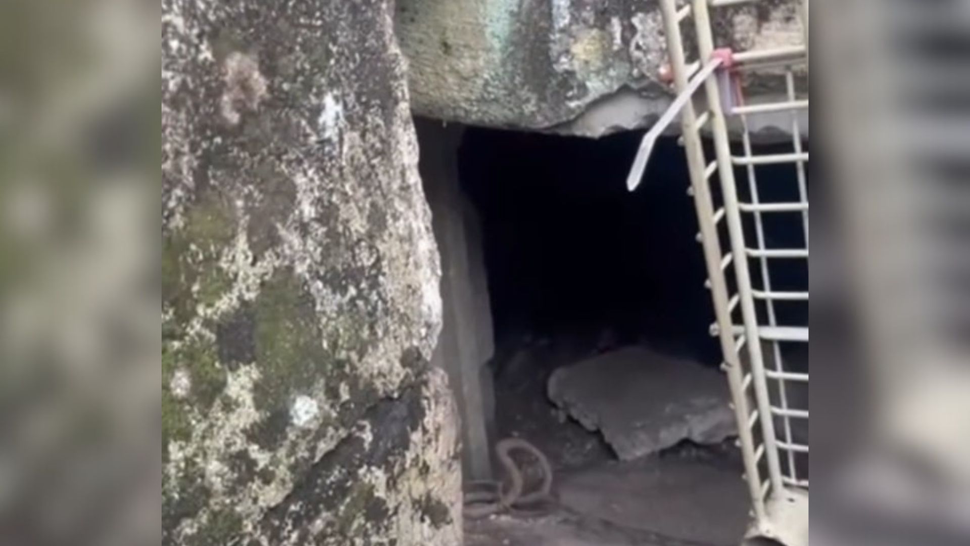 tiny crawl space