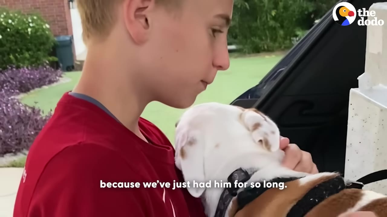 A young boy in a red shirt holds a small white and brown puppy close to his chest, looking down at it with a tender expression.