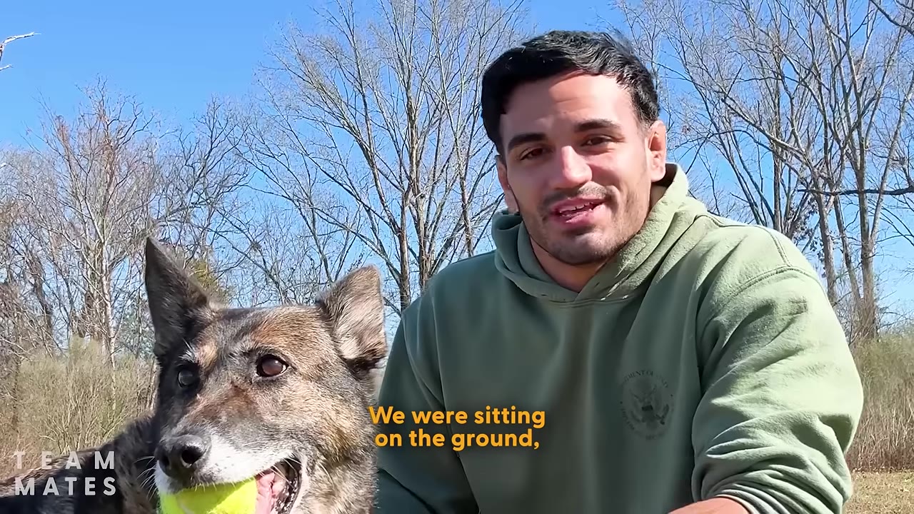 A man in a green hoodie sits outdoors next to a German Shepherd mix holding a yellow tennis ball in its mouth, with bare trees and a blue sky in the background.