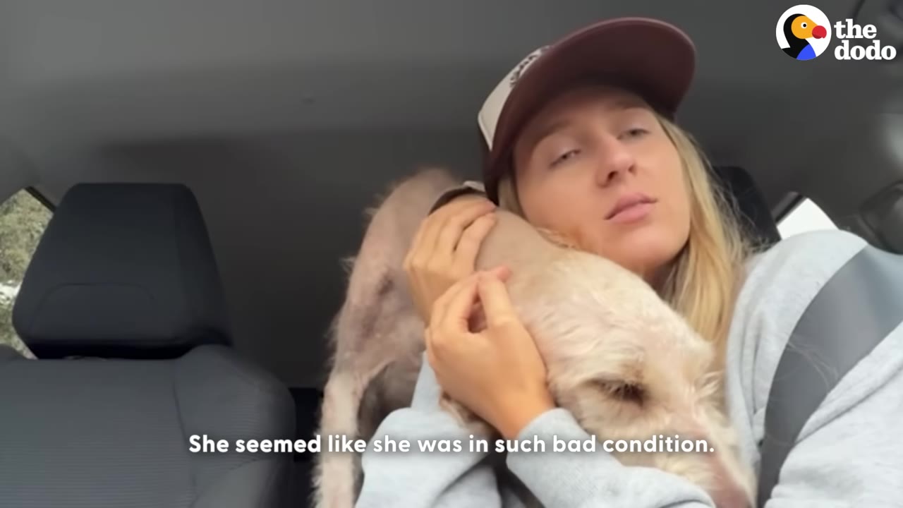 A woman wearing a baseball cap sits in a car, holding a thin, light-colored dog close to her chest with a concerned expression. The subtitle reads, 'She seemed like she was in such bad condition.'