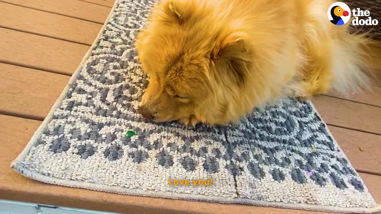 A fluffy, light brown Chow Chow dog rests peacefully on a patterned grey and white mat on a wooden deck.