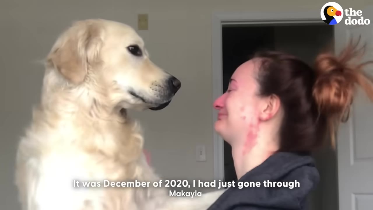 A golden retriever looks lovingly at a smiling woman with her hair in a bun.