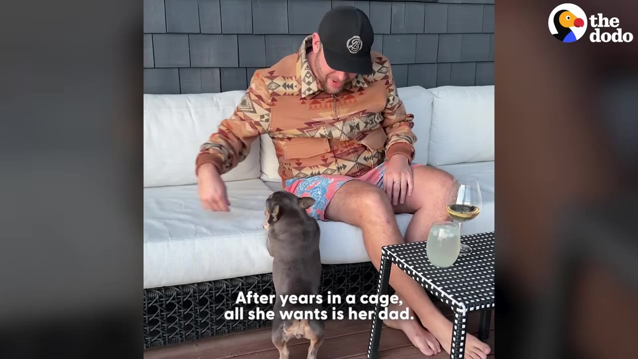 A French bulldog stands on its hind legs on a wooden deck, looking up at a man sitting on a white outdoor sofa.