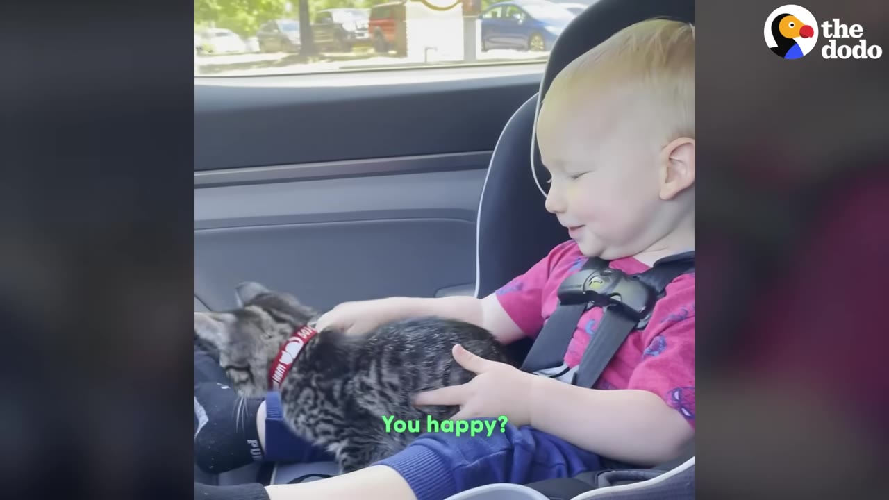 A young boy in a car seat smiles as he gently pets a small tabby kitten resting on his lap during a car ride.