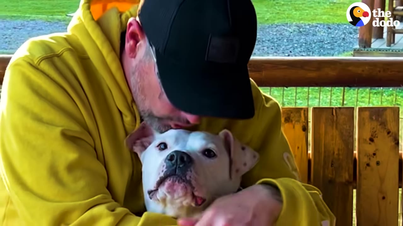 A man wearing a yellow hoodie and a black baseball cap hugs and kisses a white dog on the head.