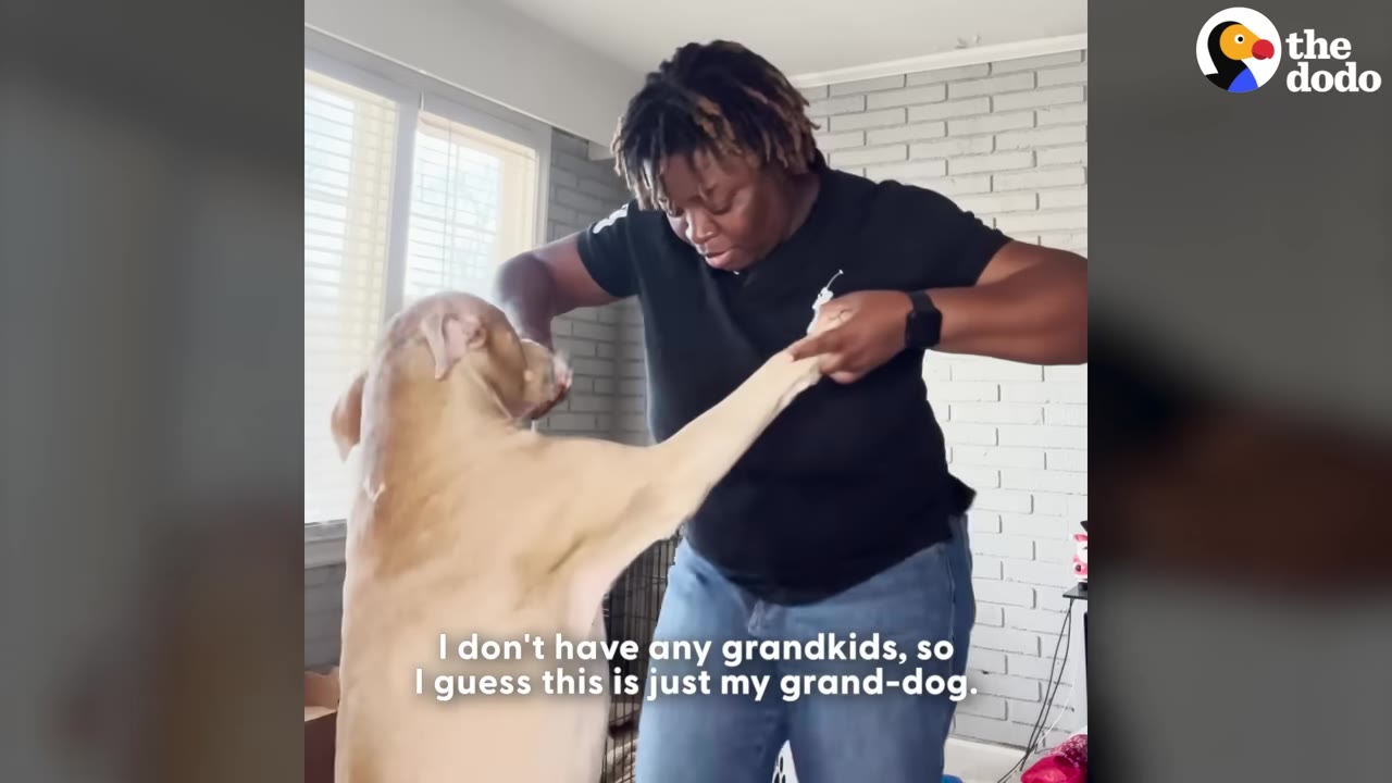 A woman holds her tan dog's paw as it stands on its hind legs, with on-screen text reading, 'I don't have any grandkids, so I guess this is just my grand-dog.'