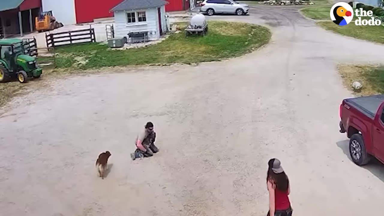 An overhead shot of a farmyard where a man is kneeling on the gravel driveway, a brown dog is walking nearby, and a woman is walking towards them.