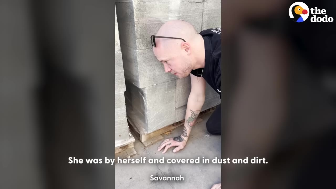 A bald man with tattoos on his arm leans down to look closely under a pallet of concrete blocks wrapped in plastic.