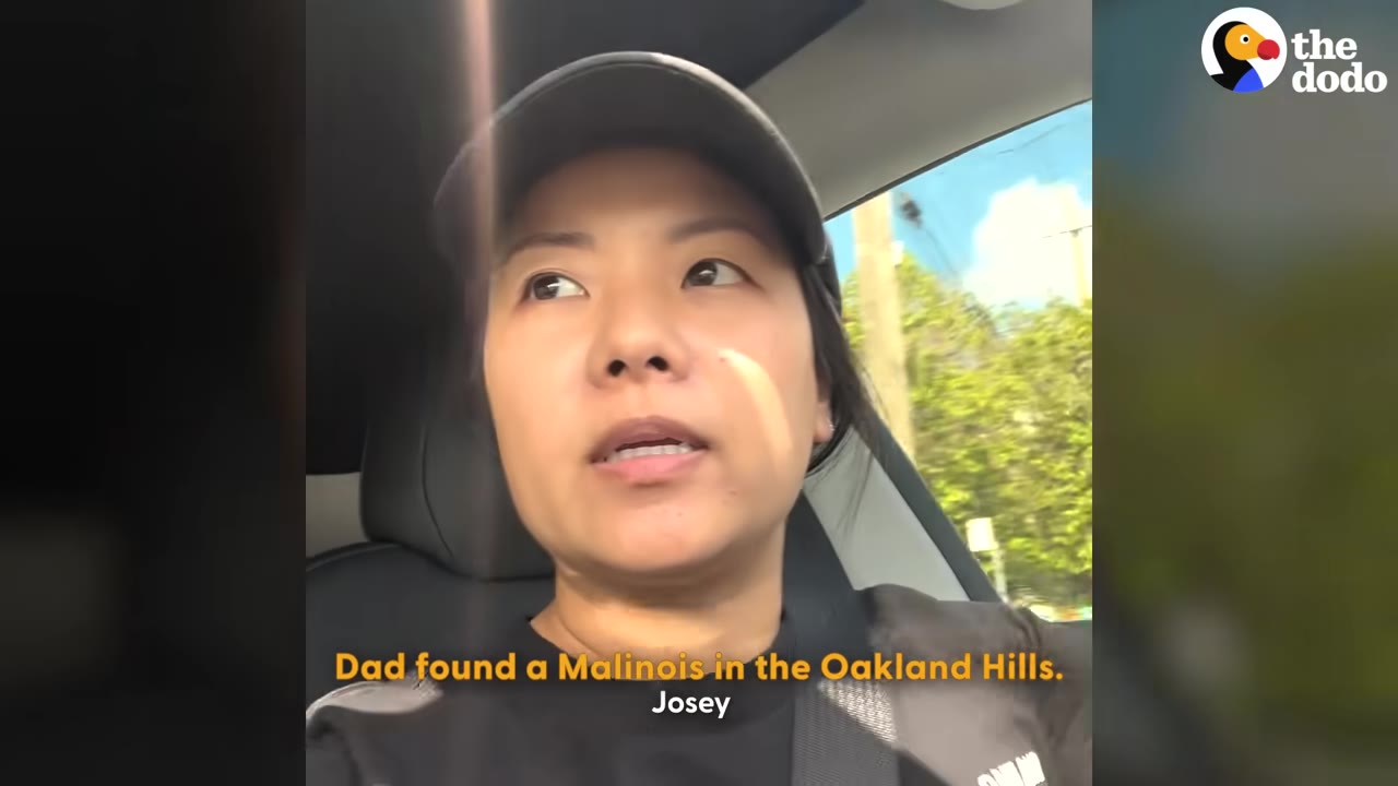A close-up of a woman named Josey wearing a black cap inside a car, with text on screen reading 'Dad found a Malinois in the Oakland Hills.'