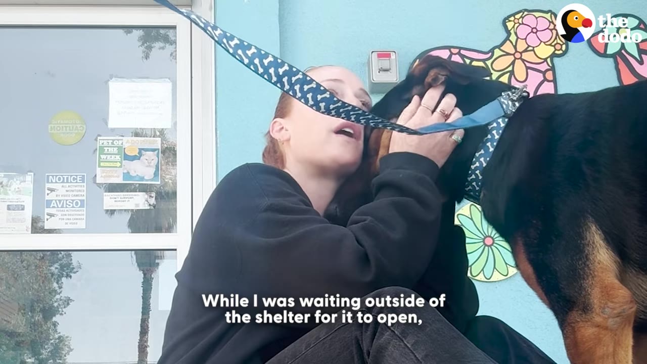 A woman sits on the ground outside a shelter's glass doors, holding and comforting a black and tan dog on a leash.