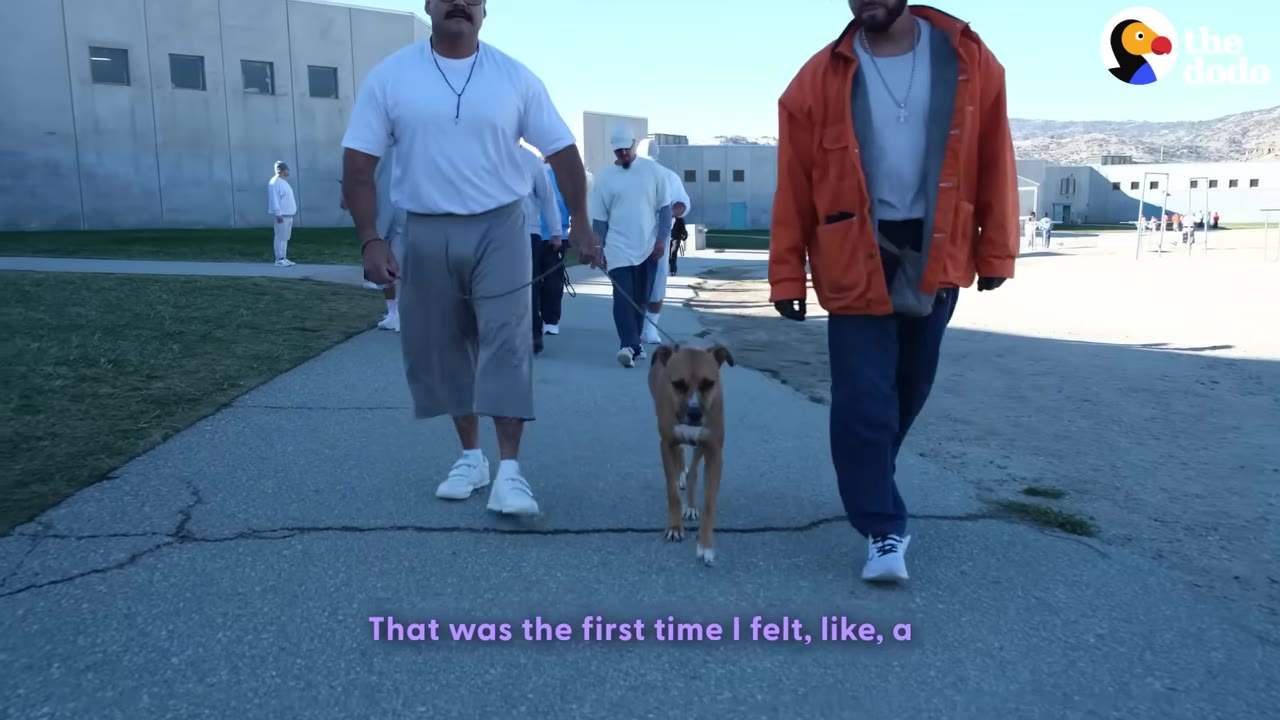 Two men walk a brown dog on a leash along a paved path inside a prison yard, with concrete prison buildings visible in the background.