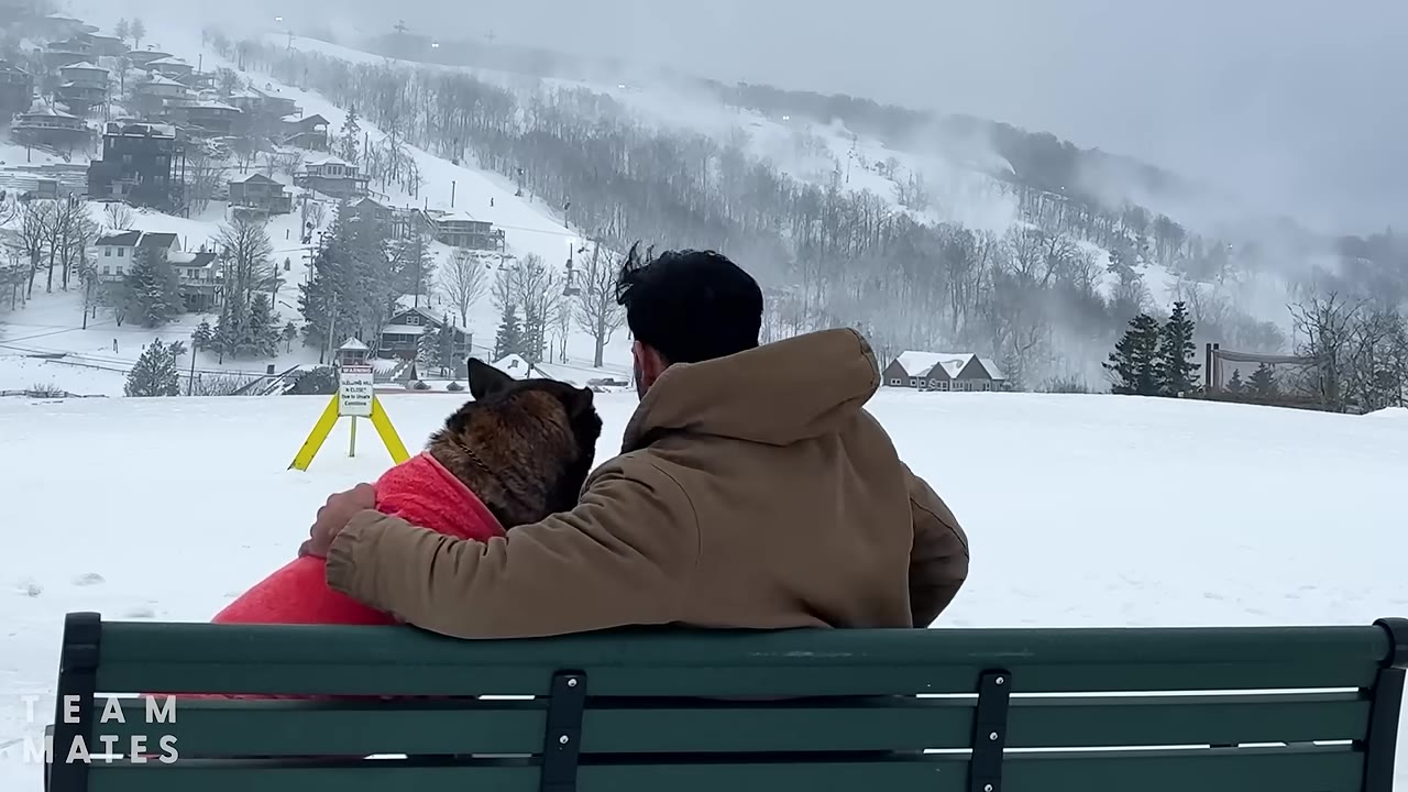 A man in a brown jacket sits on a green bench with his arm around a dog wearing a pink coat, looking out at a snowy mountain landscape.