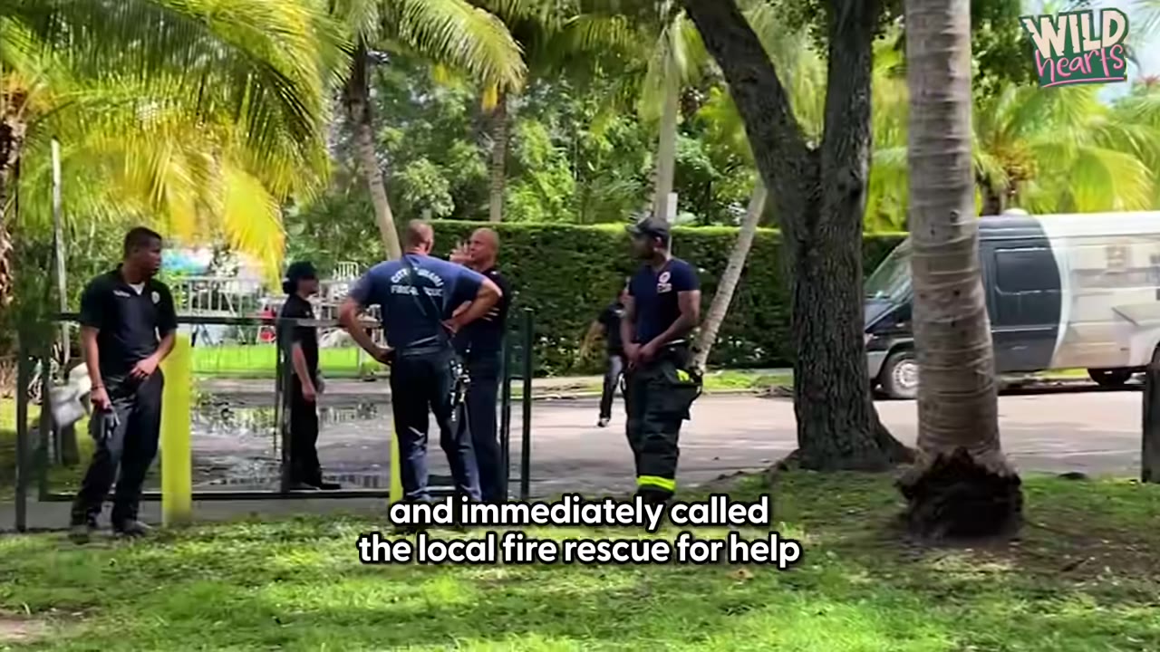 A group of fire rescue personnel in uniform stand together outdoors near trees and a van, discussing and assessing the situation.